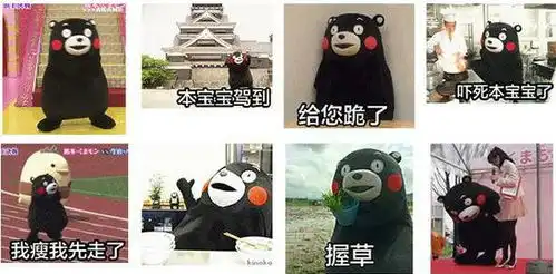 熊本熊动漫表情包