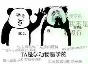 扎心了,这波表情包精辟表达了我的专业