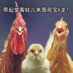 鸡年要用对的表情包,重庆言子版鸡年表情包爆笑来袭