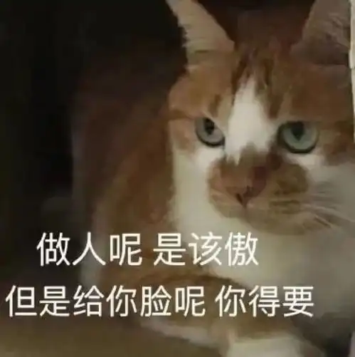 表情包沙雕表情包