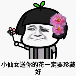 宠小仙女的表情包