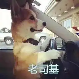 老司机,带带我表情包老司机,带带我微信表情包老司机,带带我qq表情包发表情fabiaoqing.com