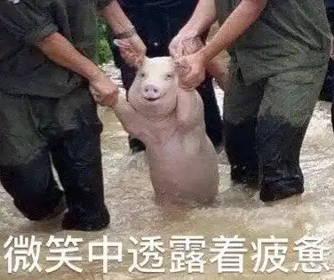2017年度表情包大赏小猪佩奇,笑着活下去,边缘试探.你最爱