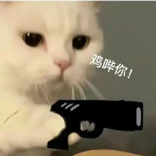 鸡哔你猫咪表情包