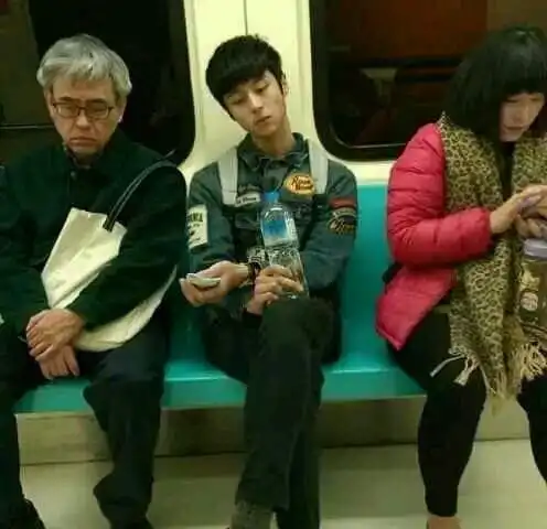 我可以抱着我的狐狸离开吗