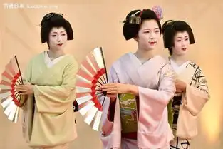 揭秘日本当代艺伎职业受尊重