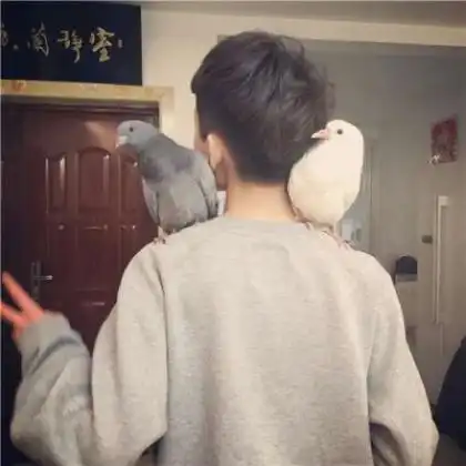 冷就一个字高冷男生头像真人