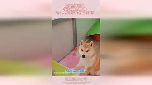 狗狗太聪明了,模仿得惟妙惟肖,这个人工呼吸我是真没忍住