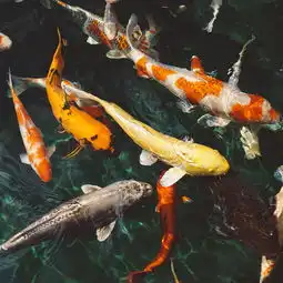 点心咖啡饼干盆栽文艺苹果手机高清壁纸2732x2732爱思助手