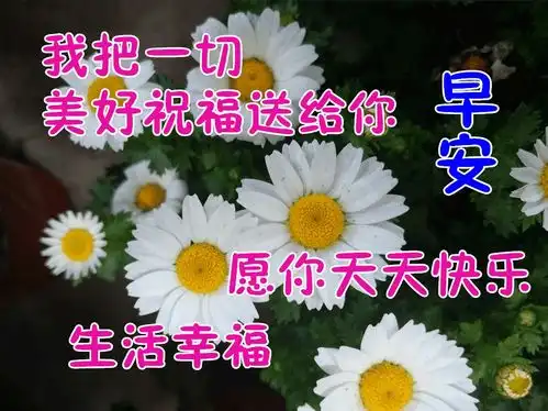 1月9日最漂亮早上好动态表情图片大全,早晨好动图美图大全