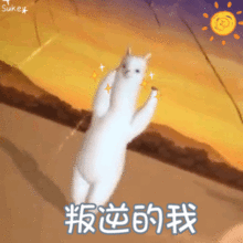 100张热门表情包,聊天必用
