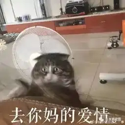 舒坦表情包图片养猫