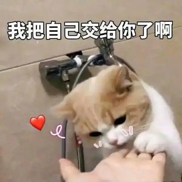 双十一的过法