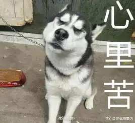 马赛克也挡不住的绝望每日轻松一刻10月27日晚间版