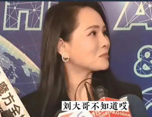 伊能静图片表情包难断