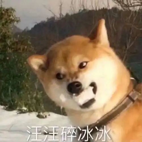 旺旺表情包沙雕