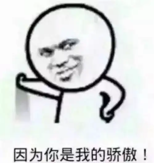 闪亮登场图片表情包孤独