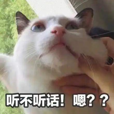 作为一名妹子如何撩妹