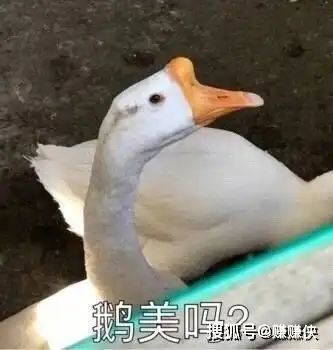 搞笑表情包图片污,想想就不自觉的咧开了嘴