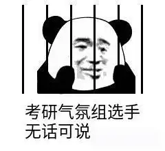 久违的户外旅游,考研结束来体验刺激的悬崖秋千
