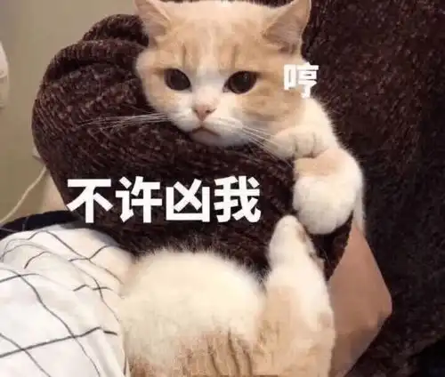 爆笑段子集锦哥,为什么每次嫂子一打你你就满地打滚