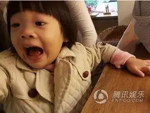 赵又廷否认要有小阿离,不同肚子不同命
