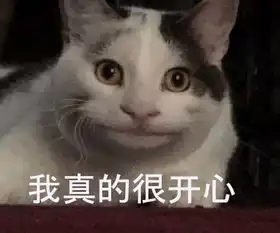 前有假笑男孩,今有假笑猫面对坑爹的生活,就算不开心也要挤出微笑啊