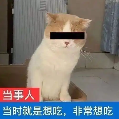 表情包我就是一个很敏感的小男生