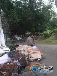 公园凉亭成流浪男子住处自称此处舒服