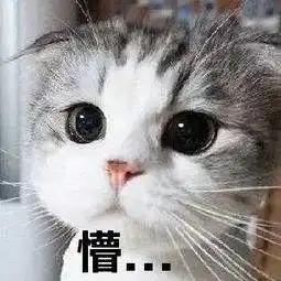 猫咪黑眼圈表情包原图