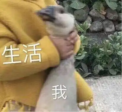 考研党想买个ipad看视频课件,求推荐性价比高点的穷学生з