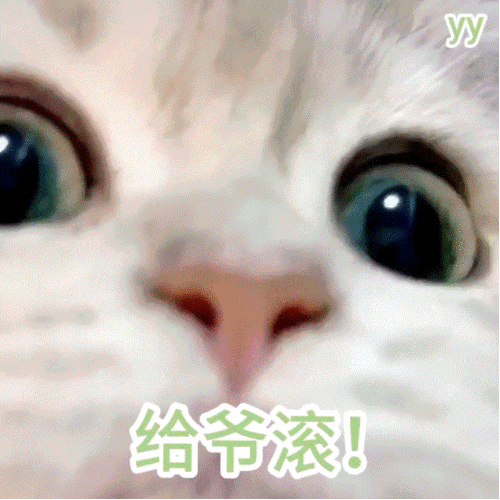 沙雕表情我要睡了我就想听你给我说晚安