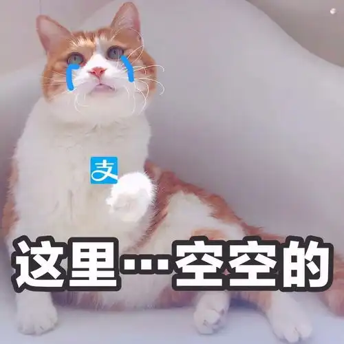 没钱钱包表情包