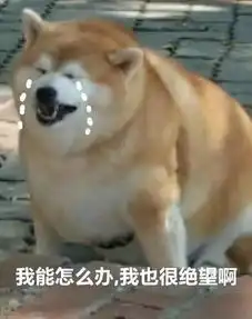 我能怎么办,虽然我胖,但我也很绝望啊ω