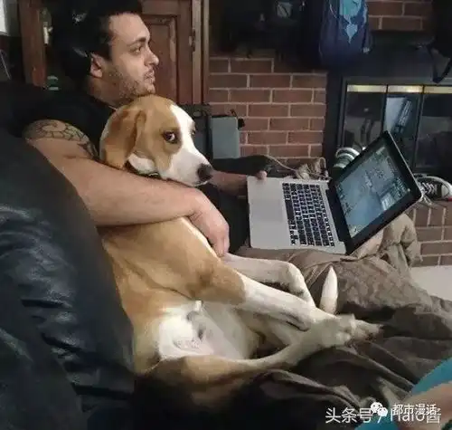 我养的猫爱上我男友了30张抢走你另一半的宠物罪证照