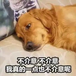 家禽表情包吉星