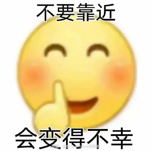 有比较了解果机的毛姐吗