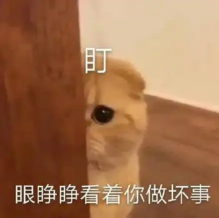 老婆出差发了张酒店全身照,不小心露出了一瓶胶水为什么兄弟说我绿了