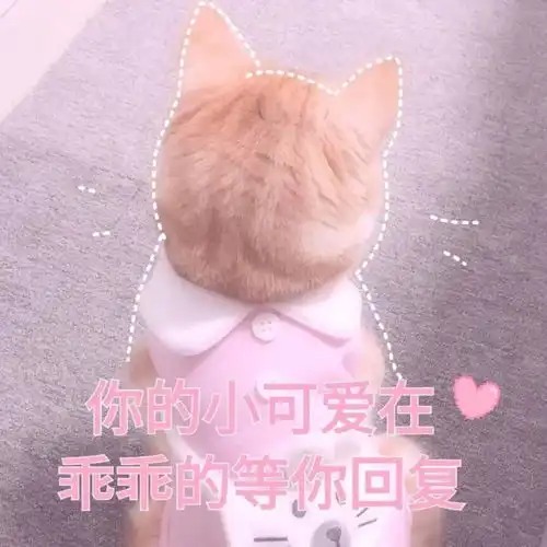 有什么适用于和老公男票撒娇的可爱表情包