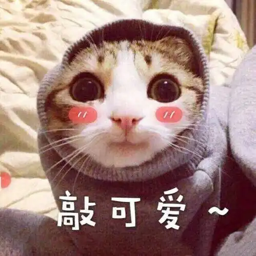什么伦吧cp名字太难听了