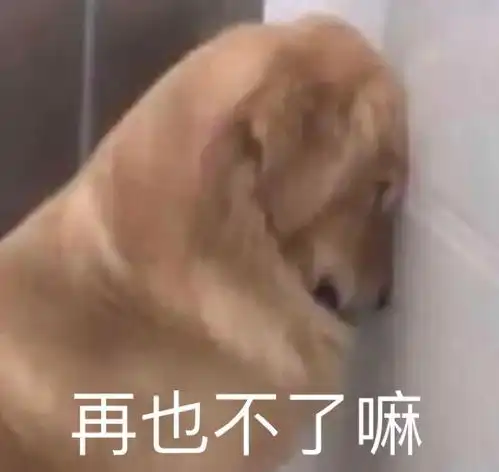 沙雕表情包l这是阳间的话