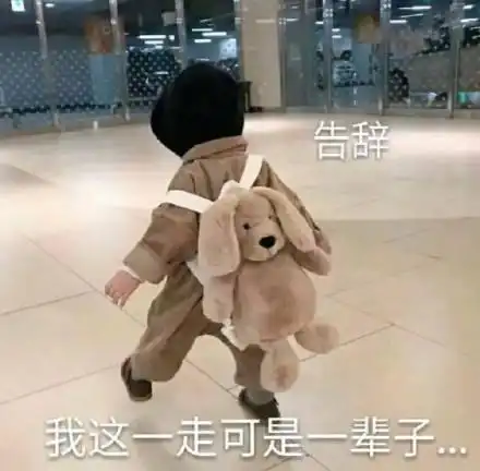 亲爱哒们,大家有什么大学可以开展的网络活动的推荐吗