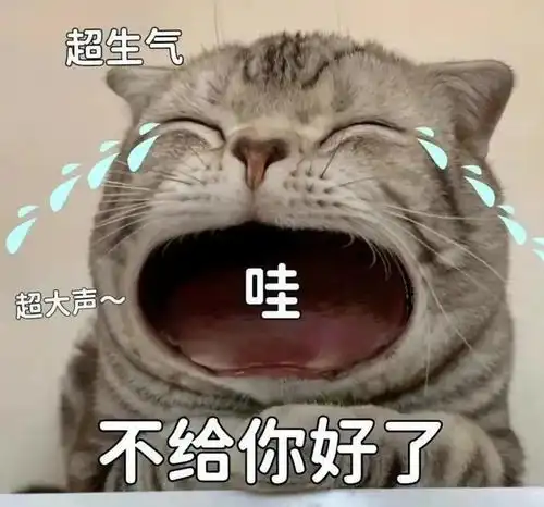 聊天表情包你说,你接着说