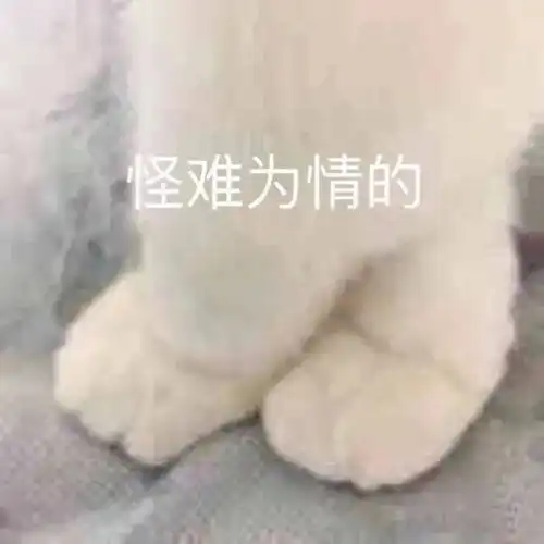 奶里奶气的聊天表情包