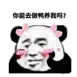 熊猫头斗图表情年纪轻轻,就知道用脸吓唬人了