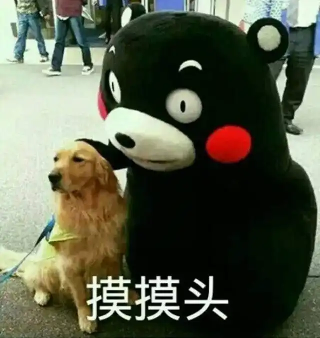 哪里有好玩的表情包狗头