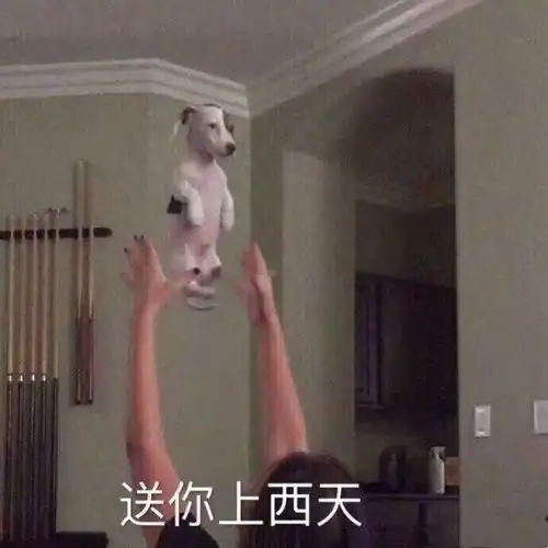 最胖卧底潜伏黑帮24年,眼看就要当上教父来一句爷就是fbi