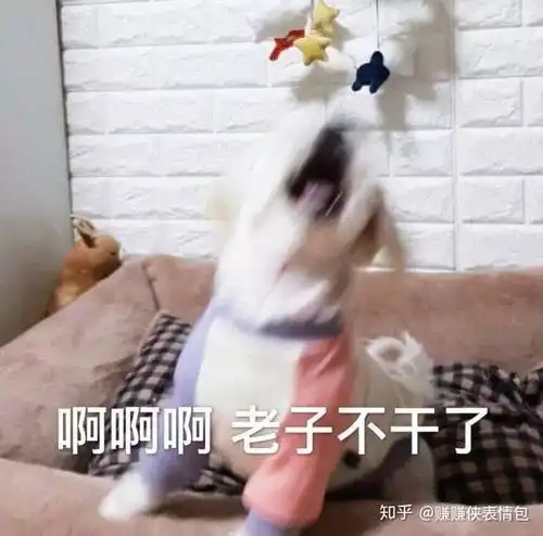 微信朋友圈表情包搜一搜
