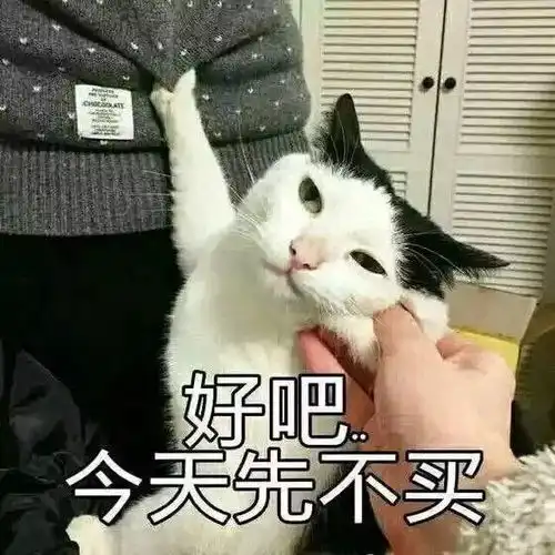 生活大爆炸来自双十一的祝福笑
