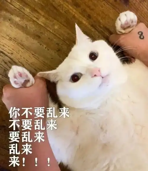 日常搞笑沙雕表情包